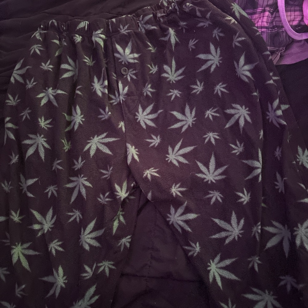🍃 pj’s